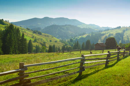 beautiful sunny   morning in  Carpathian Mountains  near Verkhovyna  , Ukraineの写真素材
