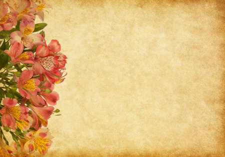 Old paper background with alstroemeria の写真素材