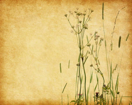 Grunge image with blooming wildflowers on sky background   Added paper textureの写真素材
