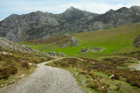 Dirt Road in the Cantabrian Mountains  Picos de Europa , Spain の写真素材