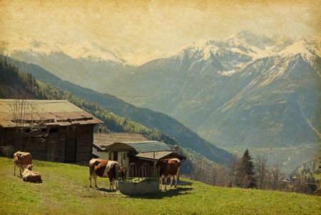 Small farm in Swiss alps.  Bodmen, Valais, Switzerland. Added paper textureの写真素材