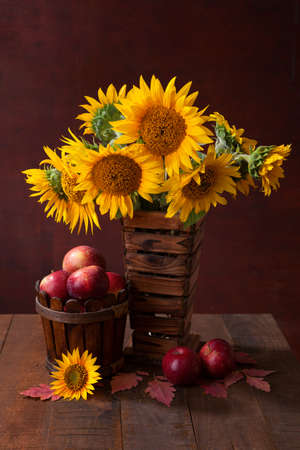 Still life with Sunflowers and apples on old wooden tableの写真素材