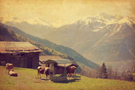 Small farm in Swiss alps.  Bodmen, Valais, Switzerland. Added paper textureの写真素材