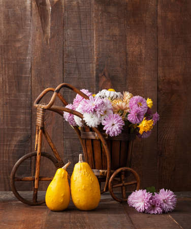 Autumn still life -  Two decorative pumpkins and   chrysanthemums bunch against the background of old wooden wall.の写真素材