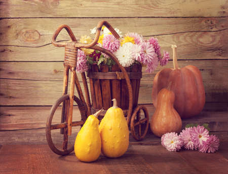 Autumn still life - Pumpkins and chrysanthemums bunch against the background of old wooden wall. Toned imageの写真素材
