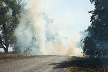 Smoke from the fire at the roadの写真素材