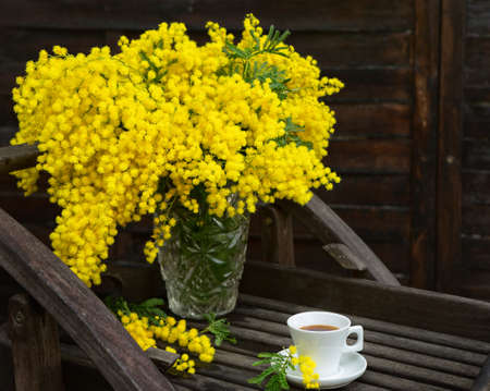 Mimosa's yellow spring flowers on the background of old brown wallの写真素材