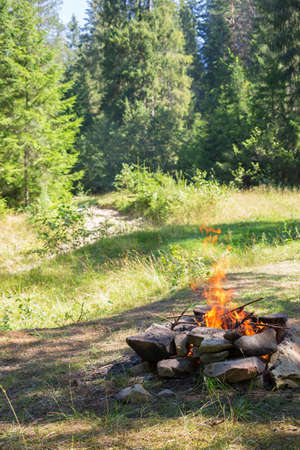 Bonfire in the meadow.の写真素材