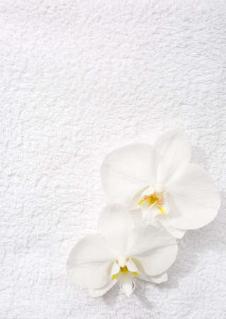 Two  orchids   lying on white terry towel.  View from above. Spa concept.の写真素材