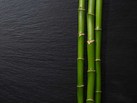 Three branches of bamboo lying on wet black slateの写真素材