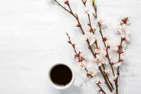 Cup of coffee  and  branches of blossoming apricot  on  old wooden shabby backgroundの写真素材