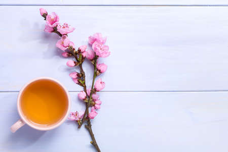 Cup of green tea and  branches of blossoming peach on lilac wooden tableの写真素材