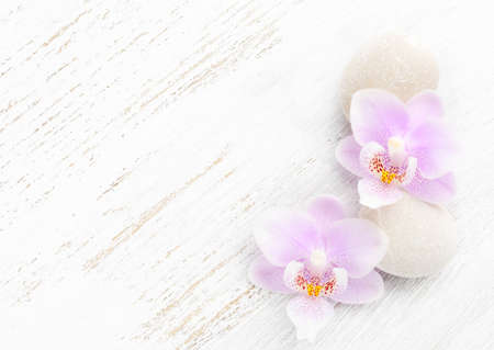 Two light pink orchids and stones on wooden shabby backgroundの写真素材