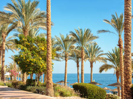 Beautiful view from the embankment in Sharm El Sheikh on Red Sea, Egypt.の写真素材
