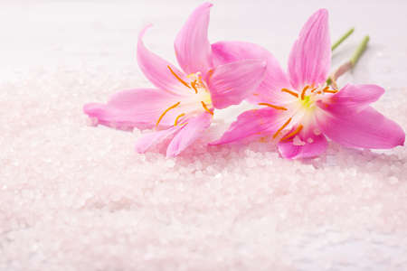 Two  pink  lilies  and  mineral bath salts. Selective focus.   Pink Rain Lilyの写真素材