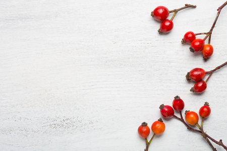 Rose hips on white  wooden background. Flat lay.の写真素材