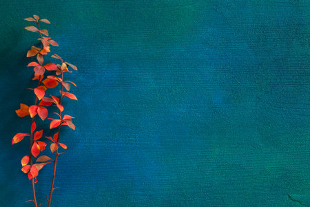 Two branches with small colorful autumn leaves (Berberis Thunbergii) on dark blue-green painted...