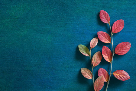 Two branches with colorful autumn leaves on dark blue-green painted wooden background  with empty space for text or image. Flat lay.の写真素材