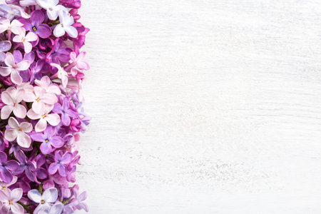 Different  tiny flowers of Lilac on the  white wooden shabby background. Floral border. Flat lay.の写真素材