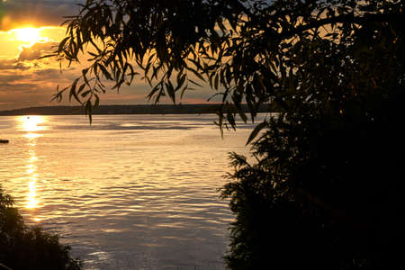Evening back sun against the background of the lake and silhouettes of treesの写真素材