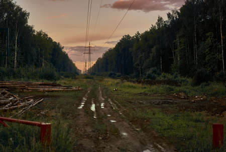 Wet muddy road with puddles in the forest after rain on a late summer evening against the background of the sunset orange skyの写真素材