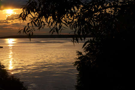 Evening back sun against the background of the lake and silhouettes of treesの写真素材