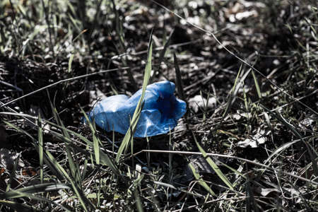 Garbage Plastic Bottle on the Grassの写真素材