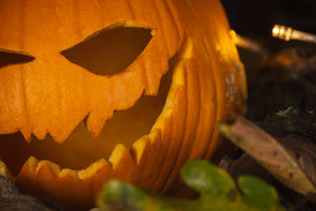 Halloween Pumpkinsの写真素材