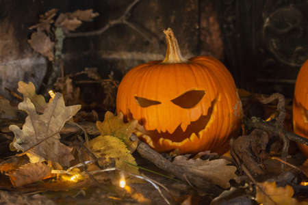 Halloween Pumpkinsの写真素材