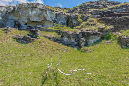 The last trace of wood on Easter Islandの写真素材