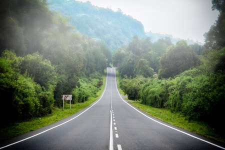Road through the forest of the Puyehue National Park in Chilean Patagoniaの写真素材