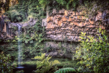 Small waterfall in Puyehue National Parkの写真素材