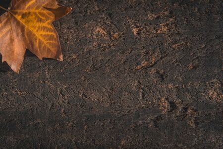 dried autumn leaves on aged wooden background with writing spaceの写真素材