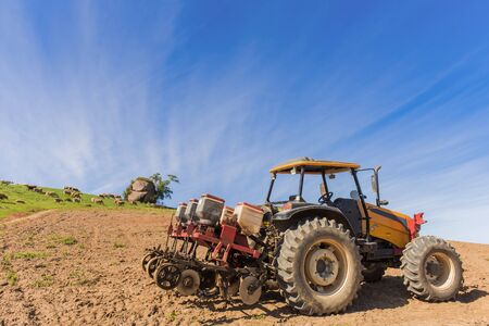 planting corn on a small farmの写真素材