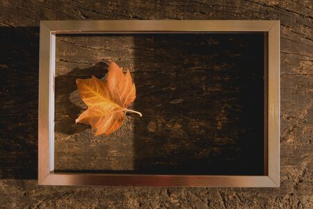 dried autumn leaves on aged wooden background with writing spacedentro of classic wooden frame