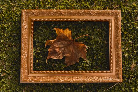 dried autumn leaves on aged wooden background with writing spacedentro of classic wooden frame