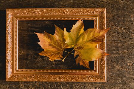 dried autumn leaves on aged wooden background with writing spacedentro of classic wooden frame