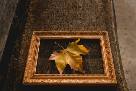 dried autumn leaves on aged wooden background with writing spacedentro of classic wooden frameの写真素材