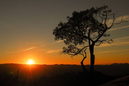 Dawn with silhouetted trees with colorful sky, sun between cloudsの写真素材