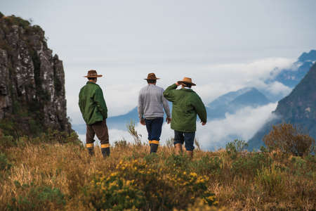 canion do Espraiado, general saw Santa Catarina Brazil, place known as the parental fieldの写真素材