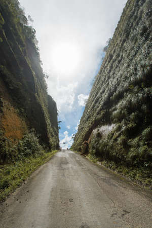 "Serra do Corvo Branco", south of the state of Santa Catarina Brazil. Chain of mountains with altitudes between 1400 to 1900 meters.の写真素材