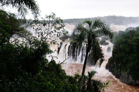 of the IguaÃ§u River, in the season of floods, falls of the iguaÃ§u state of ParanÃ¡, Brazilの写真素材
