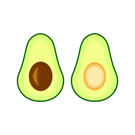 Avocado Icon Vector Badge, Colored Avocado, Fruit, dietary. editable stroke, on white backgroundのイラスト素材