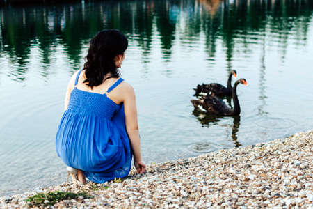 A girl in a blue dress looks at black swansの写真素材