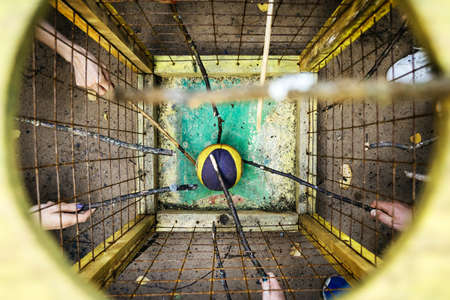 Team building team plays outdoors in summer with a ball topの写真素材