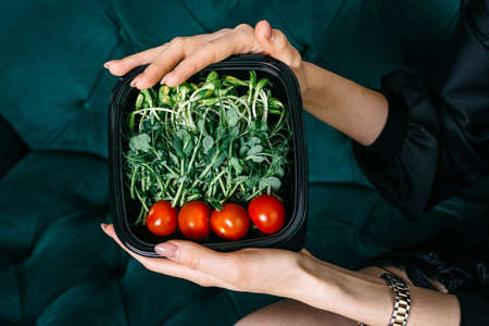 Young sprouts of greens and tomatoes in a plastic box in female handsの写真素材