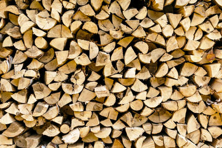 Background from a variety of natural wooden logsの写真素材