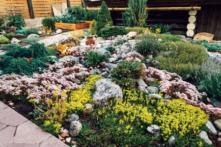 Landscaping of various plants in a country houseの写真素材