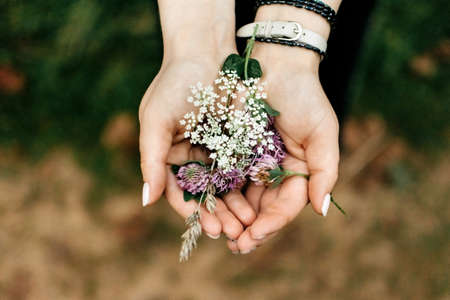 Wildflowers in female hands close up with bokehの写真素材
