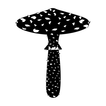 Toadstool mushroom in outline style. Edible Organic mushrooms. Truffle brown cap. Forest wild mushrooms types. Vector illustration isolated on white background.のイラスト素材